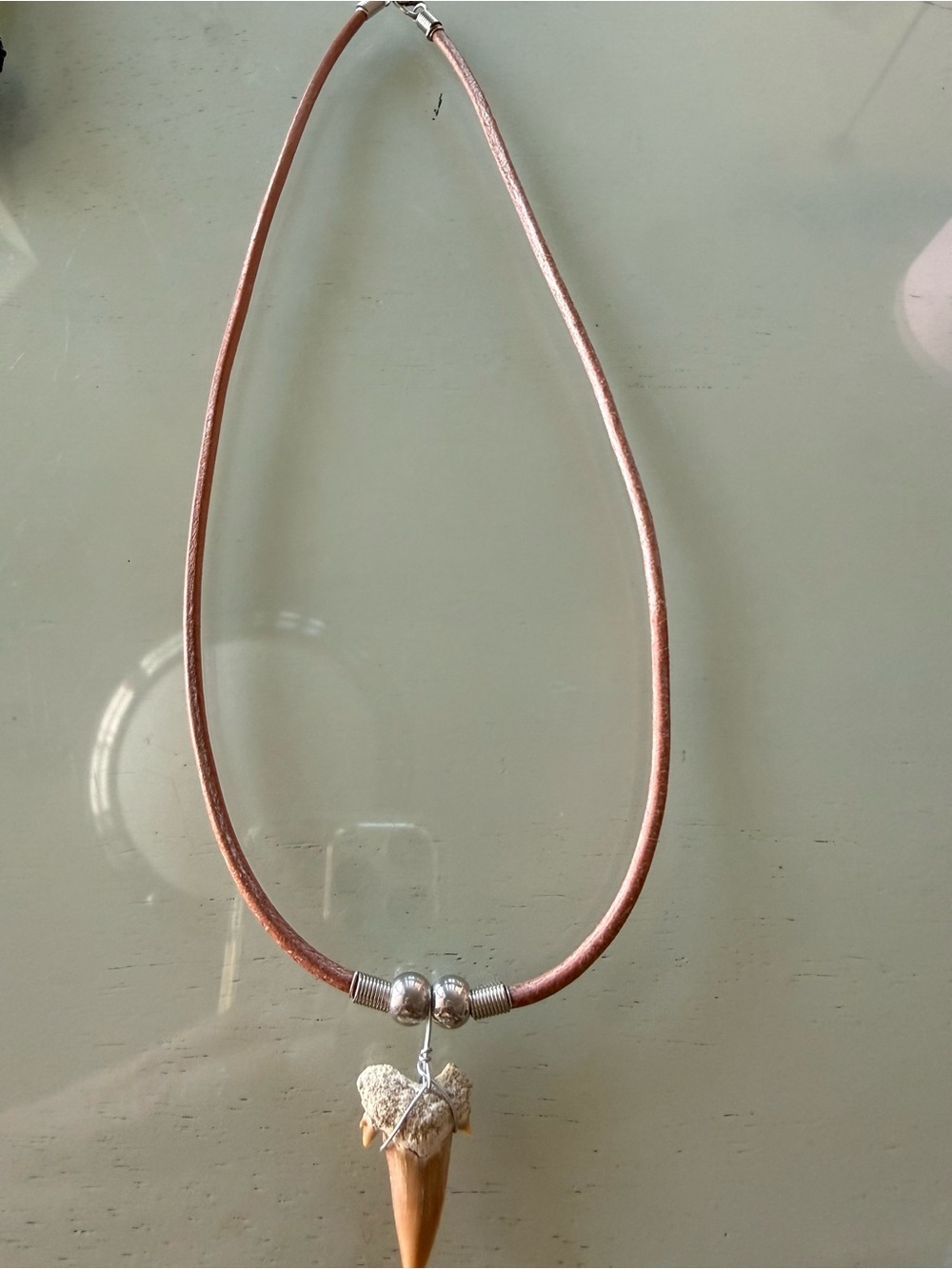 Leather Cord Necklace with Natural Shark Tooth Pendant - Brown
